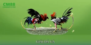 Giải đá gà