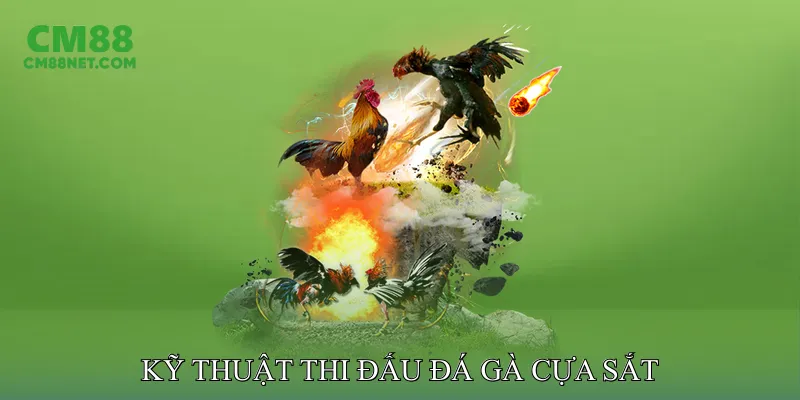 Kỹ Thuật Thi Đấu Đá Gà Cựa Sắt