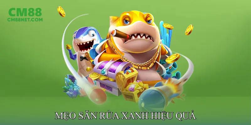 Mẹo Săn Rùa Xanh Hiệu Quả